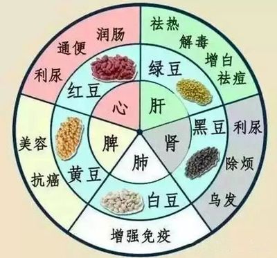 中醫提醒:藥補不如食補,吃五色食物養五臟,一年少生病